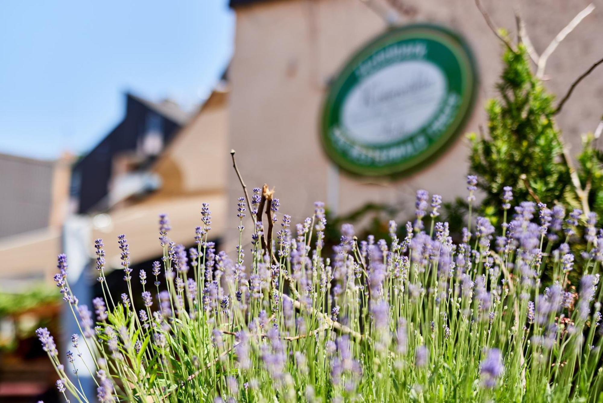 Hotelpark Der Westerwald Treff Oberlahr Eksteriør billede